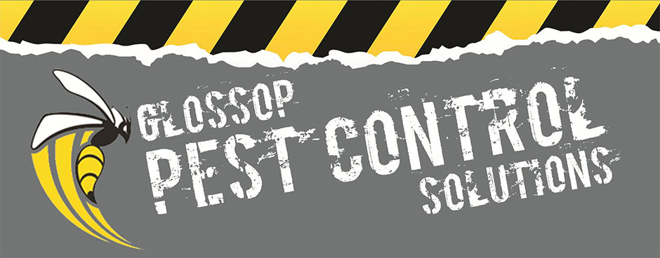Welcome to Glossop Pest Control Solutions